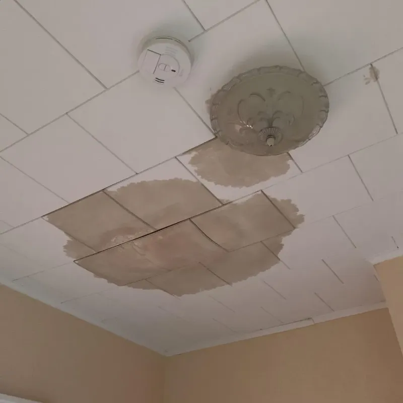 Ceiling Water Damage Repair in Cameron County, PA