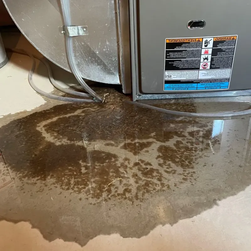 Pipe Burst and Leak Restoration in Cameron County, PA