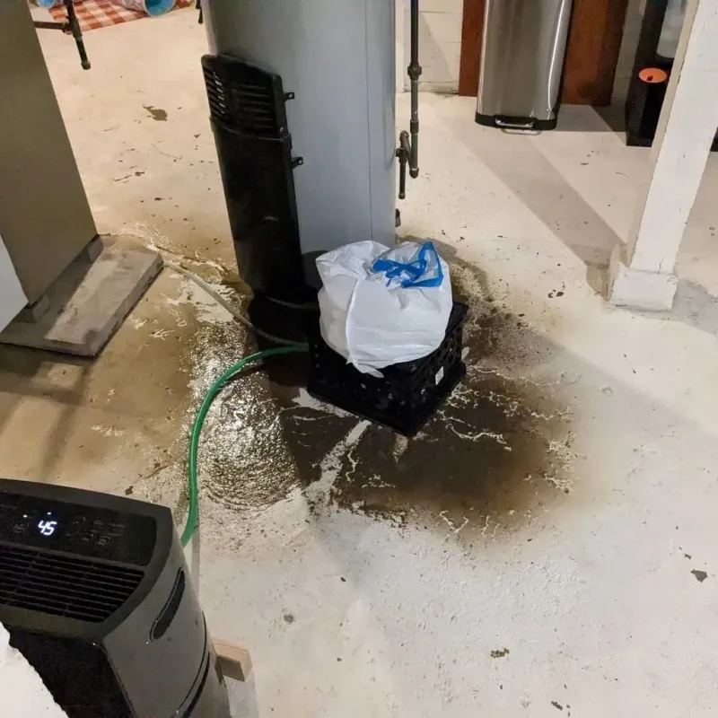 Sewage Backup Cleanup Service in Cameron County, PA